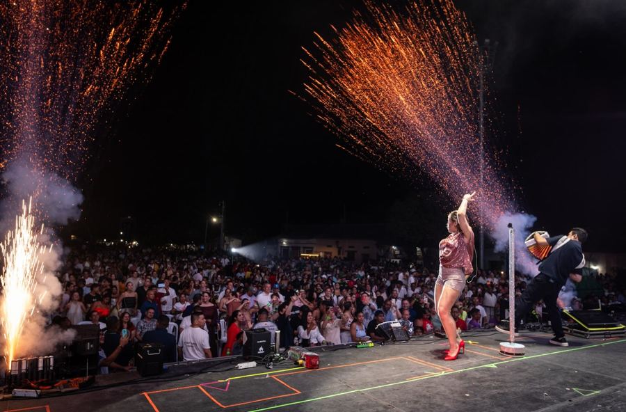 Ana del Castillo en concierto