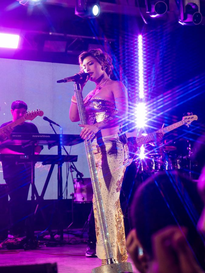 Ana del Castillo en concierto