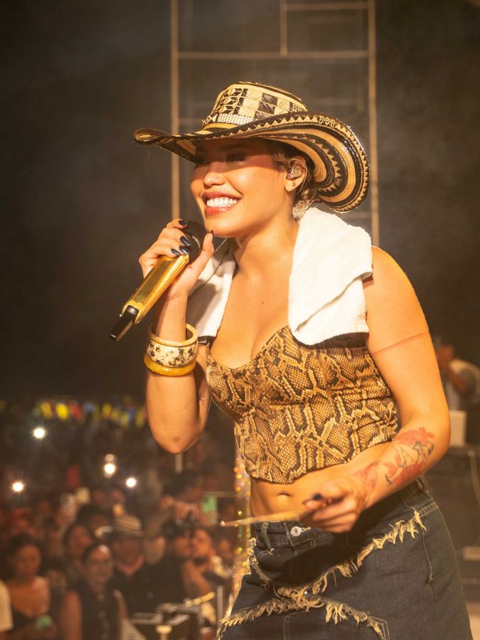 Ana del Castillo en concierto